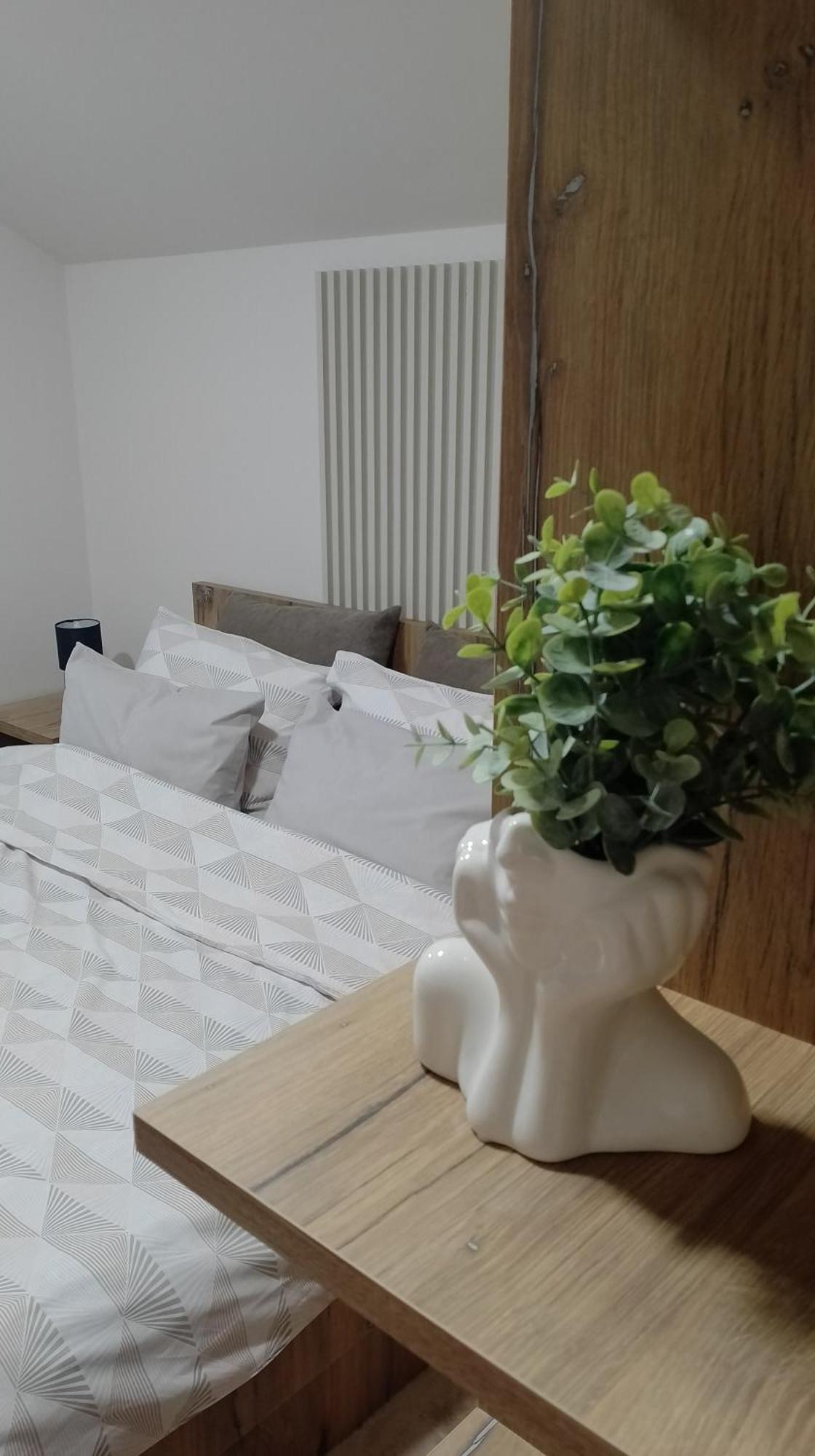 Apartman Dve Lipe Palić المظهر الخارجي الصورة